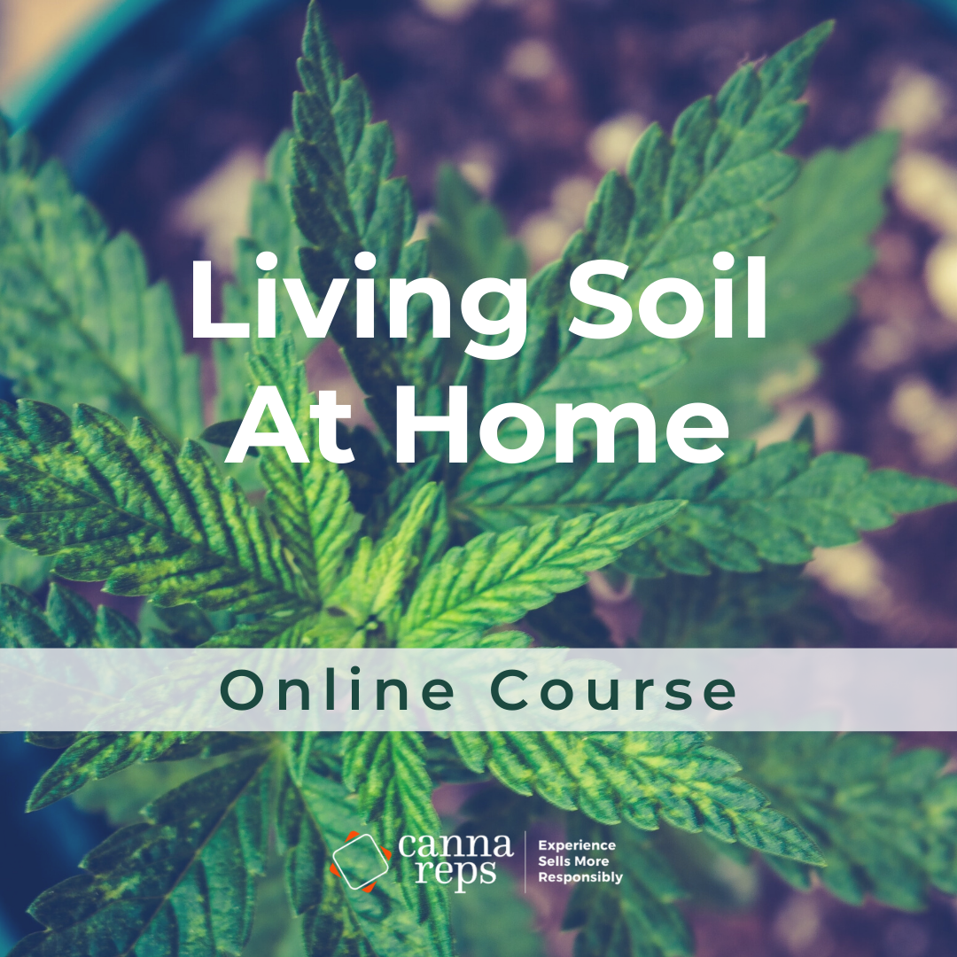 Living Soil At Home