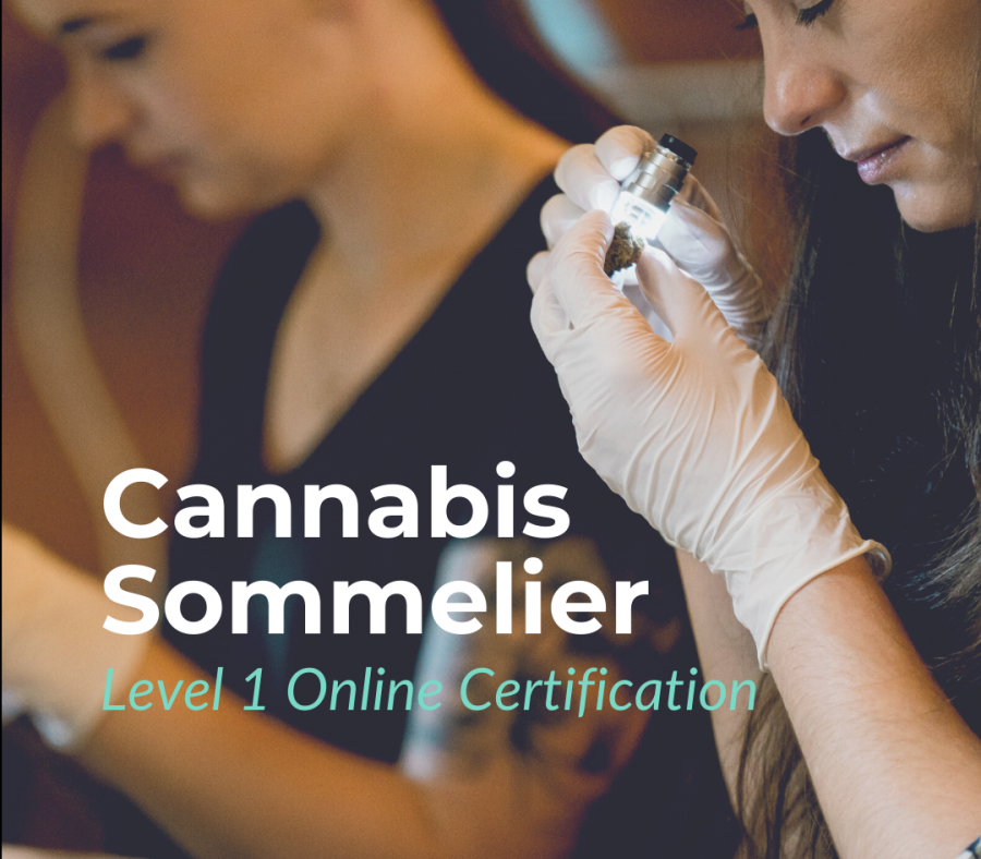 Cannabis Sommelier Level 1 Online Certification