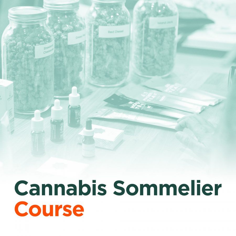 Cannabis Sommelier In-Person Course
