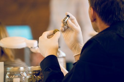 Becoming a Cannabis Sommelier